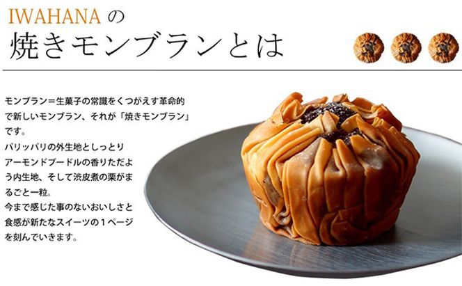 IWAHANA 焼き モンブラン 9個入り【配達不可：離島】 栗 洋菓子 焼き菓子 岡山県 里庄町 送料無料 お菓子 スイーツ 焼菓子 チョコレート 