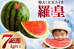BG059【令和8年度出荷分】絶品！大玉スイカ～羅皇（ラオウ）～（7～10kg）[ 先行予約 数量限定 すいか スイカ 西瓜 らおう 羅王 フルーツ 果物 長崎 長崎県 島原市]