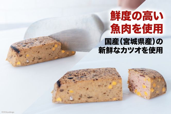 Giフィッシュプロテインバー かつおたんぱっくん チーズ味 5個 [Gi by OGATORE 宮城県 気仙沼市 20564828] プロテイン プロテインバー タンパク質 たんぱく質 常温保存 常温 長期保存 備蓄 オガトレ カツオ かつお 鰹 チーズ