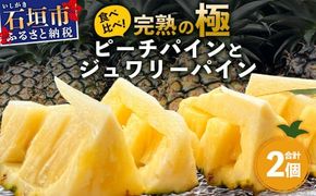 《2026年5月～7月順次発送》【先行予約】最高糖度20度以上！？ 完熟の極 石垣島産ピーチパインとジュワリーパインの食べ比べセット【 沖縄 石垣 ジュワリー ピーチ パイン パイナップル 完熟 セット フルーツ デザート 食べ比べ 】 TF-32_R8