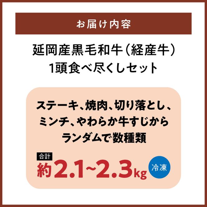 延岡産黒毛和牛(経産牛)1頭食べ尽くしセット N0221-YD0275