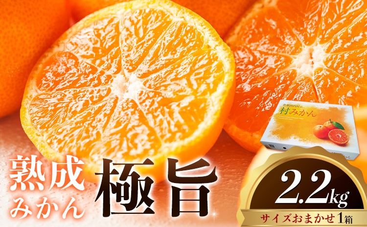 [先行予約] 熟成みかん『極旨』1箱 廣畠農園[2月初旬-2月末頃出荷予定]徳島県 佐那河内村 みかん ミカン 蜜柑 柑橘 箱入り 化粧箱 フルーツ 果物 くだもの 贈答 [配送不可地域あり]※離島---sanagouchi_hhn_3_1hk---
