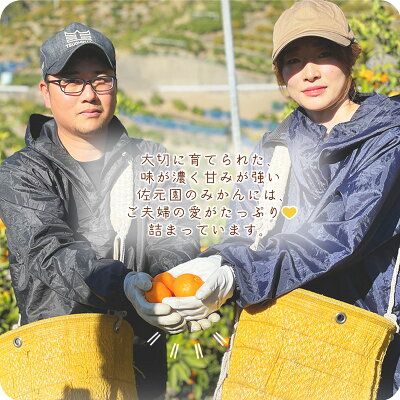 和歌山県産 有田みかん【訳あり 家庭用】約10kg 小玉 3S～Sサイズ_DI6017n