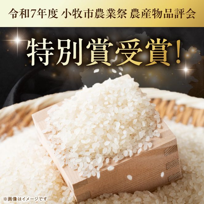 R7年産　「あいちのかおり」（15kg）＜農家直送＞ ［208K15］ 15kg 米 精米 白米 ご飯 国産 産地直送 ふくよかな甘み ほどよい粘り お取り寄せ 愛知県 小牧市 送料無料