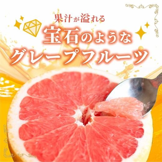 【先行受付予約】国産グレープフルーツ 家庭用7kg（15～20玉） 訳あり 柑橘 スタールビー ノーワックス 防腐剤なし 果物 ジュース ジャム 青果 旬 アロマ できるだけ農薬を使わない ※2026年5月上旬～8月上旬頃に順次発送予定