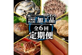 ＜定期便・全6回(連続)＞さかなのまち 門川 こだわり 定期便 (特大 あじ 開き・味付け すりみ 2種・宮崎牛 入り ハンバーグ・訳あり サバ 切身・中国産 うなぎ 蒲焼・訳あり からすみ)アジ さば おかず 惣菜 骨とり 宮崎県 門川町【AW-65】【丸正水産】