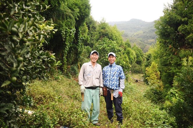 【栽培期間中農薬不使用】【先行受付】【数量限定】農園直送！愛媛県産不知火 5kg （2026年1月上旬頃より順次発送） IKTG007