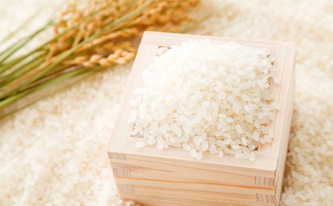 北海道月形産ななつぼし5kg+月形町産完熟トマト「桃太郎」使用『月形まんまるトマト』8本 2ヵ月連続 定期便 お米 果汁飲料 野菜飲料 トマトジュース