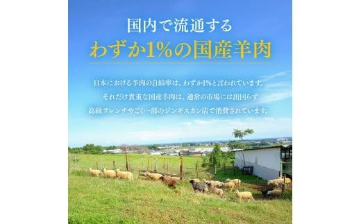 宮崎県産羊肉　寿ジンギスカン500g 【 肉 羊肉 国産 九州産 川南町産 ジンギスカン 羊 ひつじ 味付き 】[D11902]