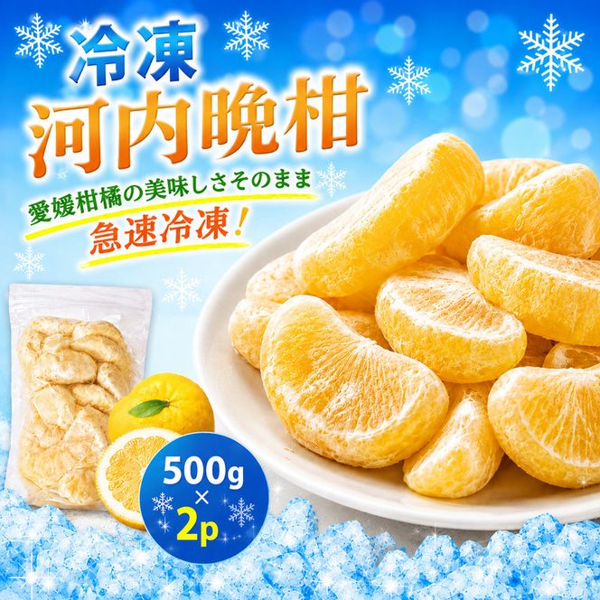 冷凍 河内晩柑 500g×1袋 小分け 愛南ゴールド 和製グレープフルーツ おやつ 柑橘 かんきつ 冷凍 冷凍柑橘 冷凍みかん 夏 アイス スムージー シャーベット みかん職人武田屋 愛媛県 愛南町