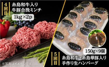 【全7回定期便】ボリューム満点！ お肉 福岡 糸島産 牛肉 / 豚肉 / 鶏肉 《糸島》 【糸島ミートデリ工房】 [ACA086] 定期便 博多 華豚 地鶏 焼肉 BBQ すき焼き しゃぶしゃぶ 黒毛 和牛