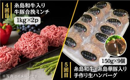 【全7回定期便】ボリューム満点！ お肉 福岡 糸島産 牛肉 / 豚肉 / 鶏肉 《糸島》 【糸島ミートデリ工房】 [ACA086] 黒毛和牛 博多華味鶏 糸島華豚 ランキング 上位 人気 おすすめ