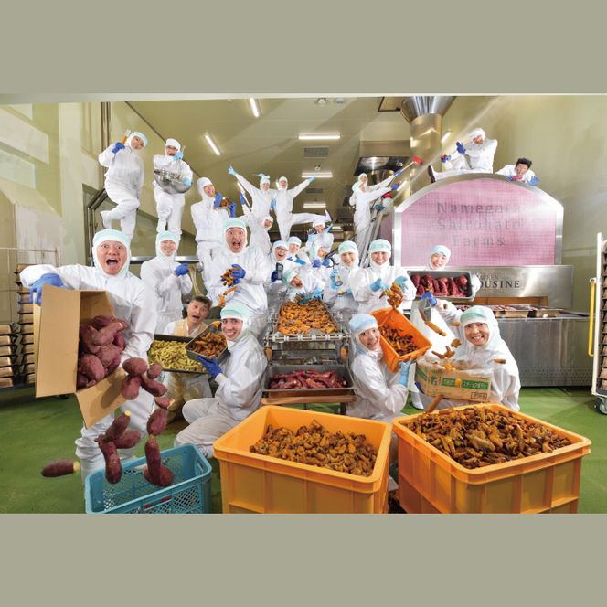 【6ヶ月定期便】らぽっぽファーム【工場直送】窯出しポテトアップルパイ（4個入）|りんごパイ 焼き菓子ギフト さつまいもスイーツ ご褒美 お菓子 内祝 健康 おやつ）CQ-77）