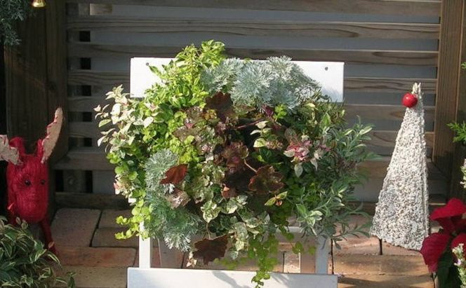 花 季節のお花でハンキングバスケット グリーン・ホワイト・ブルー系 植物 ガーデニング ガーデン インテリア 