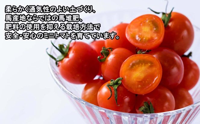 ＜ 9/15までの受付 ＞ 北海道産 ミニトマト 太陽の瞳 M サイズ 3kg 新ひだか町