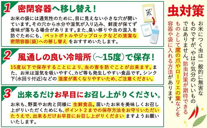 無洗米 訳あり 選べる 5kg 10kg 12kg 15kg 18kg 20kg 熊本県産 阿蘇びより《11月-12月頃出荷予定(土日祝除く)》 お米 コメ こめ 国産 熊本県 南阿蘇村 阿蘇 びより---mna_aby_24_m_5kg_9500_af11---