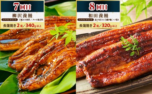 大崎町うなぎ食べ比べ定期便　全8回 464686_ZZ005