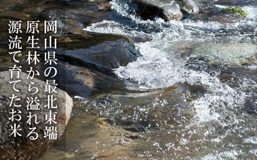 白米 10kg 令和6年産 コシヒカリ 岡山 「おおがや米」生産組合