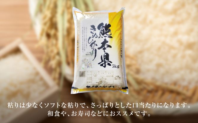 【令和7年産】 熊本県産 きぬひかり 5kg（5kg×1袋） 米 お米 精米 白米 ごはん ご飯 熊本