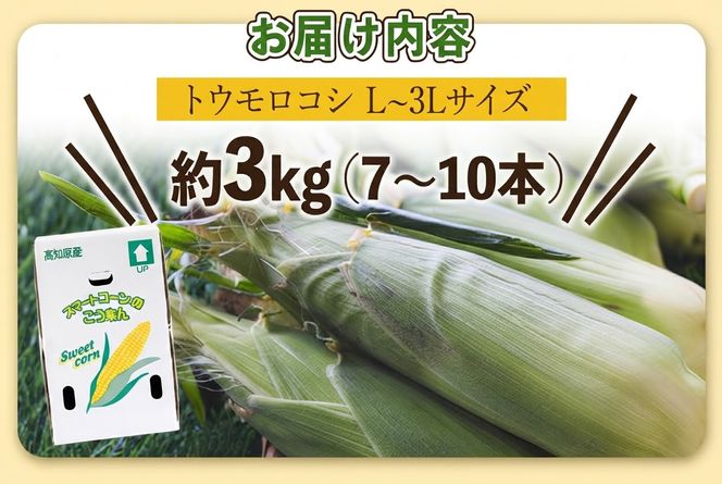 とうもろこし 朝採れスイートコーン 3kg (7～10本) - 野菜 とうもろこし とうきび トウキビ BBQ キャンプ 旬 おやつ 特産品 sg-0008