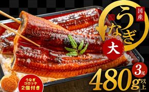 G1690 国産うなぎ 3尾 480g以上 大サイズ うなぎコロッケ 2個付き【えびす鰻 うなぎ ウナギ 国産 泉佐野産 1尾160g以上 蒲焼き かばやき 冷凍 うな重 ひつまぶし 惣菜 先行予約】