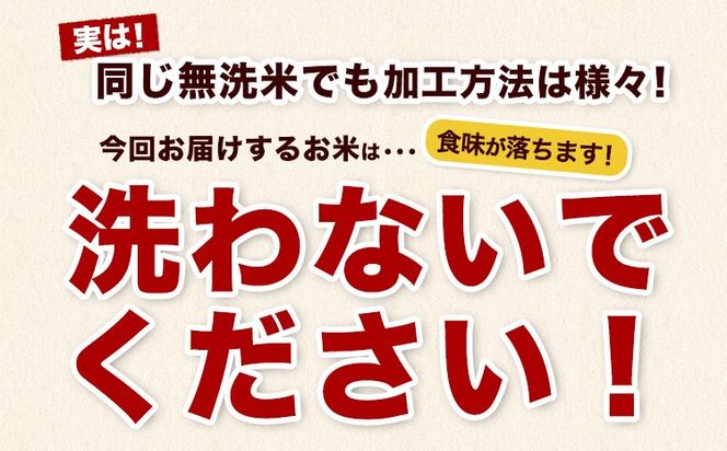 【6ヶ月定期便】熊本県産 さとほまれ 無洗米 ご家庭用 定期便 選べる 10kg 15kg 20kg 《申込み翌月から発送》熊本県 玉名郡 玉東町 米 こめ コメ ブレンド米 送料無料---gkt_sthmltei_10kg_129000_mo6---