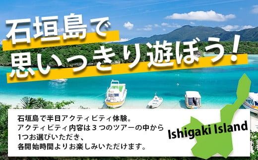 石垣島の自然を満喫！石垣島半日アクティビティ (利用券 1名様分) NS-1