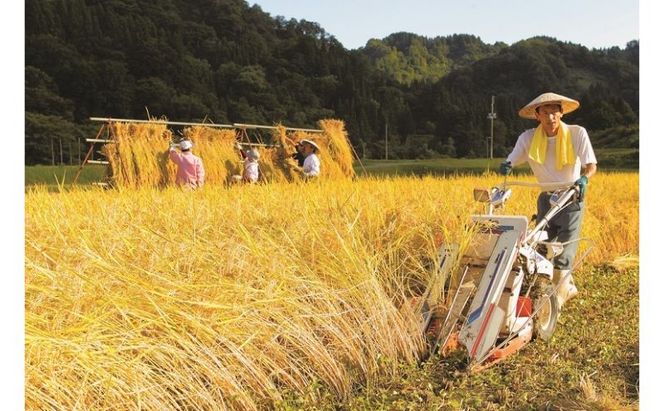 江戸伝承絶品米５Kg お米 コメ 