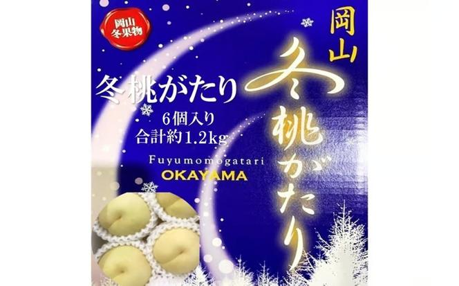 先行予約 晴れの国 岡山のフルーツ 定期便 2回コース 1回目ロイヤル白桃6玉 合計約1.2kg／2回目冬桃がたり6個 合計約1.2kg[№5735-3575]