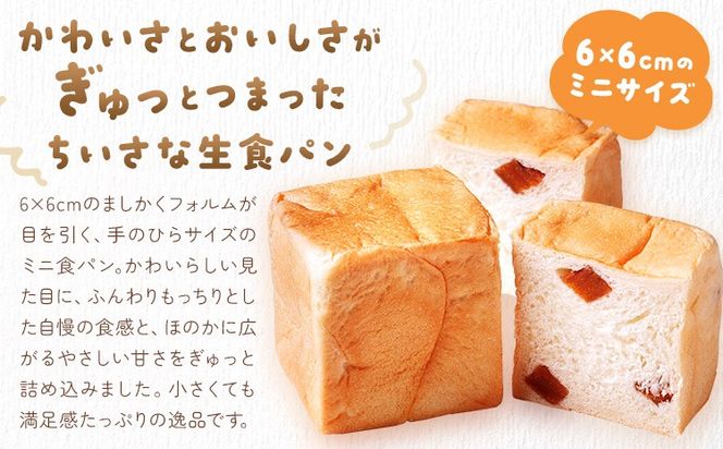 侍が恋する ましかくミニ生食パン 計12個 侍が恋するパン屋《30日以内に出荷予定(土日祝除く)》岡山 矢掛町 パン 食パン スイーツ 最上干柿 レーズン ベーコン プレーン ツナマヨ チョコ コーン あんこ 柚餅子 宇治抹茶 いちご メープル 矢掛の侍イタリアン---osy_fssypan_30d_26_12500_12---