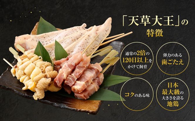 天草大王プレミアムバーべキューセット(大)