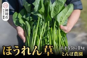 【先行受付 10月より順次発送】ほうれん草 1kg バラ詰め（大きな袋に1kg）【ハウス栽培 産地直送 クール便 佐賀県脊振山麓産】(H091116)