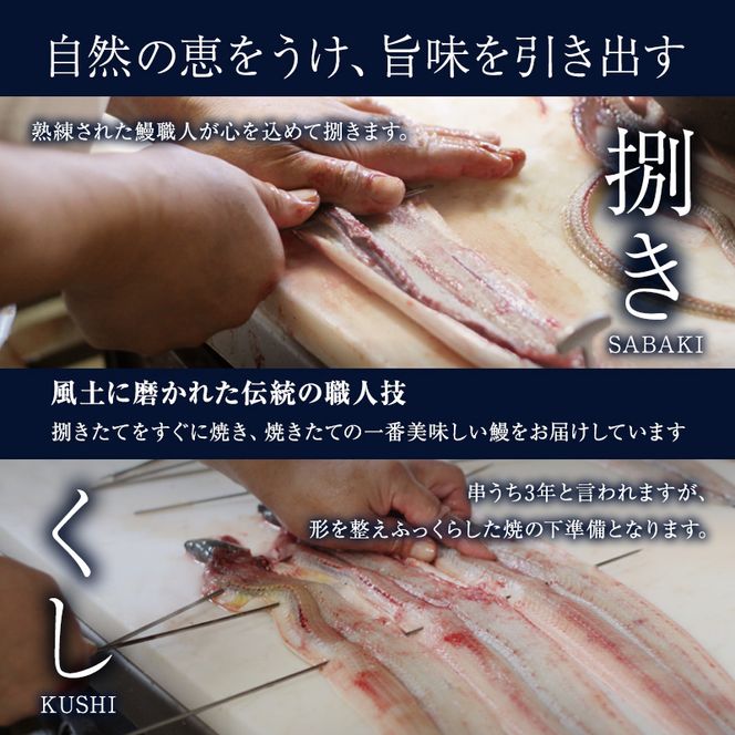 うなぎ蒲焼バラエティセット（三河産）【3ケ月連続お届け】 魚貝類 ウナギ 鰻 