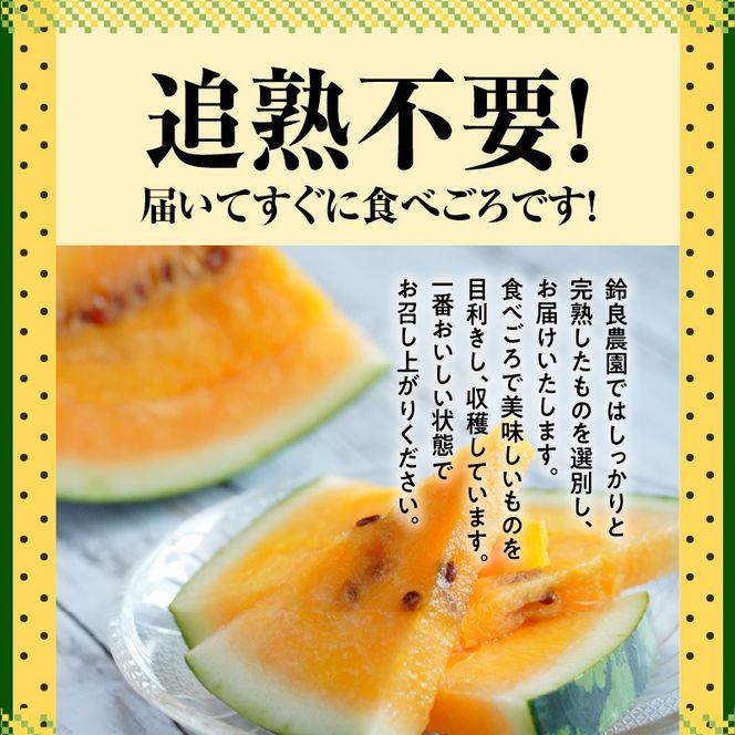 〈予約受付〉【2027年発送】甘さを追求したすいか「金色羅皇」1玉 すいか 甘い 糖度 黄色 果物 フルーツ 数量限定 碧南市 鈴良農園 H141-014