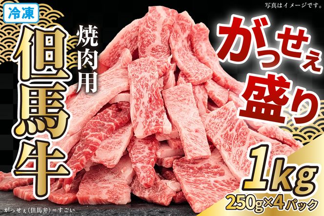 【但馬牛がっせぇ盛り 焼肉用計1kg（250g×4）冷凍】 但馬牛 和牛 国産 大人気 人気ふるさと納税 返礼品 おすすめ ランキング 牛肉 ステーキ 焼肉 BBQ 肉 小分け 便利 但馬 兵庫県 但馬牛 JAたじま肉の店本店 72-24