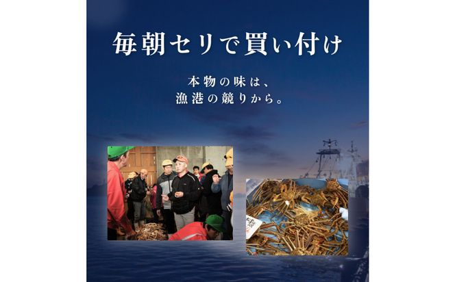 1057.【2027年1月～2027年3月発送】特撰 松葉がに（なま）【訳あり】500g超のサイズ 食べ応えあり 2杯 313726_BS035