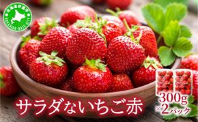 ＜2027年先行予約＞ サラダないちご（赤）【ecg-002】