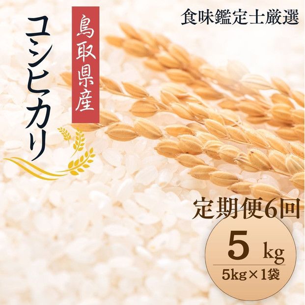 y挧khz1096.y֑S6zyߘa7NYVāzyHӒmIz 挧Y RVqJ5kg (5kg×1) v 30kg 313726_CE011