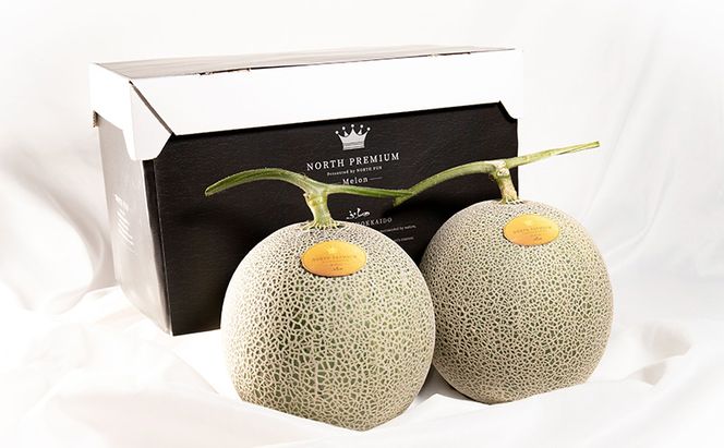 【2026年6月発送】富良野 メロン『NORTH PREMIUM』2玉 計約4kg以上 フルーツ 果物