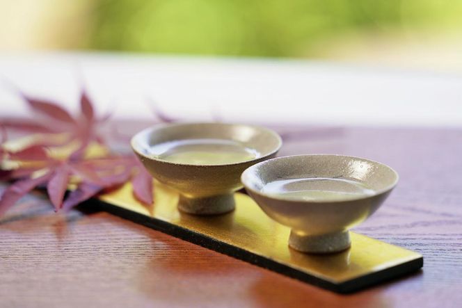 〈予約受付〉【全国新酒鑑評会金賞受賞の蔵元】「豊盃 純米大吟醸 山田穂」（720ml）西脇市産山田穂使用(10-12)