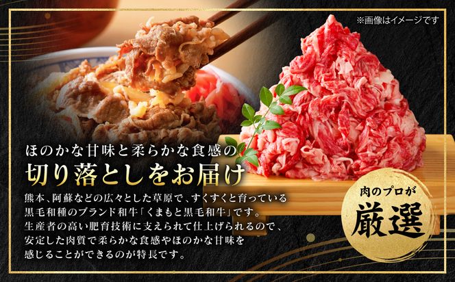 【A4～A5ランク】 くまもと黒毛和牛 切り落とし 1kg （500g×2パック） 和牛 牛肉 お肉 黒毛和牛 冷凍 すき焼き 牛丼 おかず ギフト 熊本県 八代市