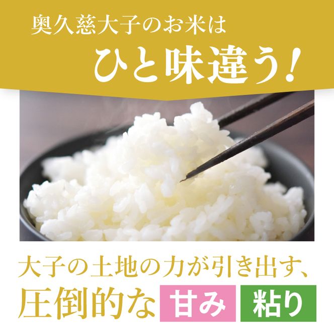 【無農薬米日本一コンテスト2年連続金賞】【谷田部農産】立神米 無農薬 こしひかり（白米）10kg｜茨城県 大子町 コシヒカリ 米 無農薬 コンテスト 受賞 生産者 大子産米 産地直送 令和7年産（BT082）