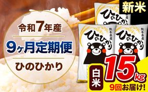 新米 令和7年産 ひのひかり 【9ヶ月定期便】 白米 15kg (5kg×3袋) 計9回お届け 《お申込み翌月から出荷》 熊本県産 精米 ひの 米 こめ お米 熊本県 長洲町---hn7tei_328500_15kg_mo9_ng_h---