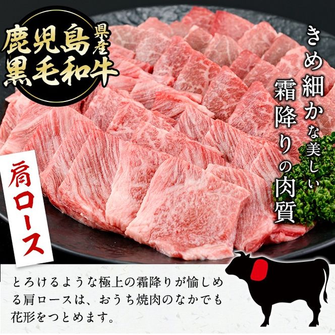 【焼肉3種！食べ比べセット】鹿児島県産黒毛和牛 モモ・肩ロース・ウデの焼肉3種セット＜計600g＞ a6-048