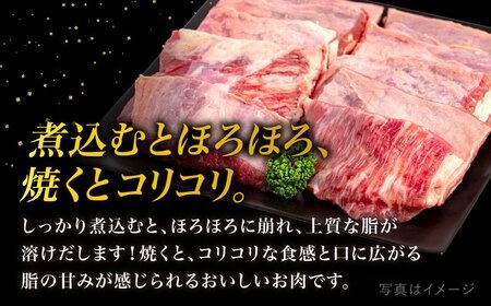 【A4ランク糸島和牛】 希少部位 カッパスジ 800g 糸島市 / いとしまミートデリ工房 [ACA375] 牛肉 牛 和牛 黒毛和牛 希少部位 カッパ カッパ筋 赤身 スジ 煮込み
