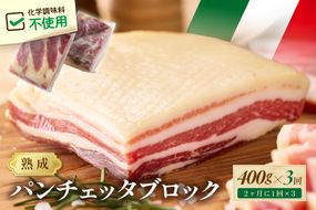 【定期便 隔月×3回】パンチェッタブロック（豚バラ肉の塩漬け）　約200g×2袋 ふるさと納税 豚肉 塩漬け ふるさと納税 ベーコン ふるさと納税 パンチェッタ 豚バラ 塩漬け スペイン料理　NI00024