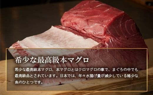 【先行予約】YE-01 石垣島産 天然本マグロ600g（まぐろ赤身・中トロ・大トロのミックスセット ）ヤエスイ マグロ船直送【2025年6月下旬より順次発送】【 産地直送 大トロ 大とろ 中トロ 中とろ 国産 まぐろ 鮪 天然 赤身 魚 お刺身 本まぐろ マグロ 沖縄県 沖縄 琉球 八重山 八重山諸島 石垣島 石垣 石垣島産 】