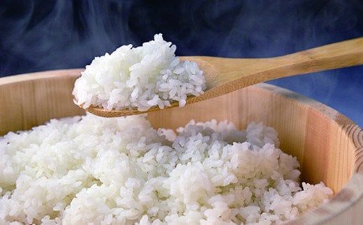 FYN6-272 【定期便3回】令和7年度 山形県 西川町産 無洗米 雪若丸 10kg(5㎏×2)×3回 合計30kg 精米 白米 米 こめ ライス ごはん ご飯 ブランド米 銘柄米 家庭用 自宅用 贈答用 お取り寄せ 定期便 定期 毎月 食品 時短 節水 2025年 西川町 月山