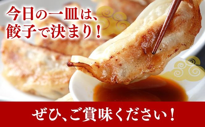 熊本県産 GI認証取得 くまもとあか牛 100% 餃子 60個 20個入り × 3 くまふる《45日以内に出荷予定(土日祝除く)》熊本県 長洲町 肉 牛肉 あか牛 赤牛 餃子 熊本県産 国産---sn_fkmgyz_26_45d_12500_60k---
