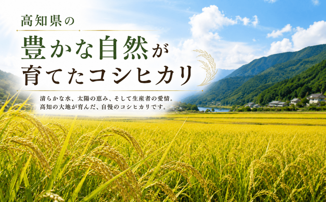 【新米 令和8年度 高知県産 コシヒカリ10㎏】  お米 10kg  コシヒカリ こしひかり お米  国産米 産地直送 家庭用 お取り寄せ 贈答 ギフト 贈り物  高知県 室戸市